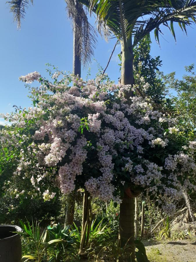 Chacara Cantinho Da Paz Ibiúna Zewnętrze zdjęcie